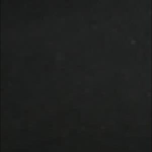 Meet your Posher, Sid